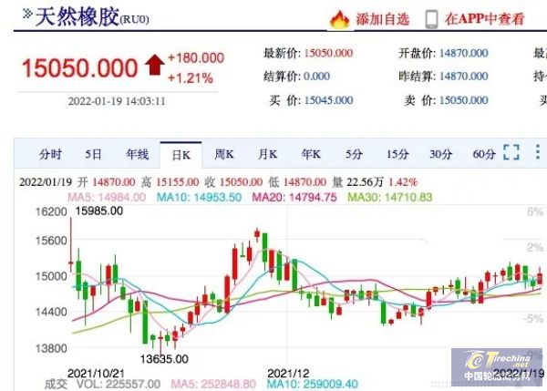 橡膠停割即將開啟，