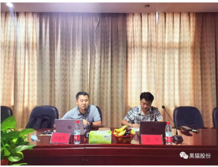 　安徽中鼎做為國內(nèi)最大的汽車橡膠零部件生產(chǎn)、出口企業(yè)，是黑貓股份差異化產(chǎn)品的重要客戶之一，此次評審為安徽中鼎第一次對黑貓公司開展審核活動，也是邯鄲黑貓首次接受差異化產(chǎn)品客戶方審核。